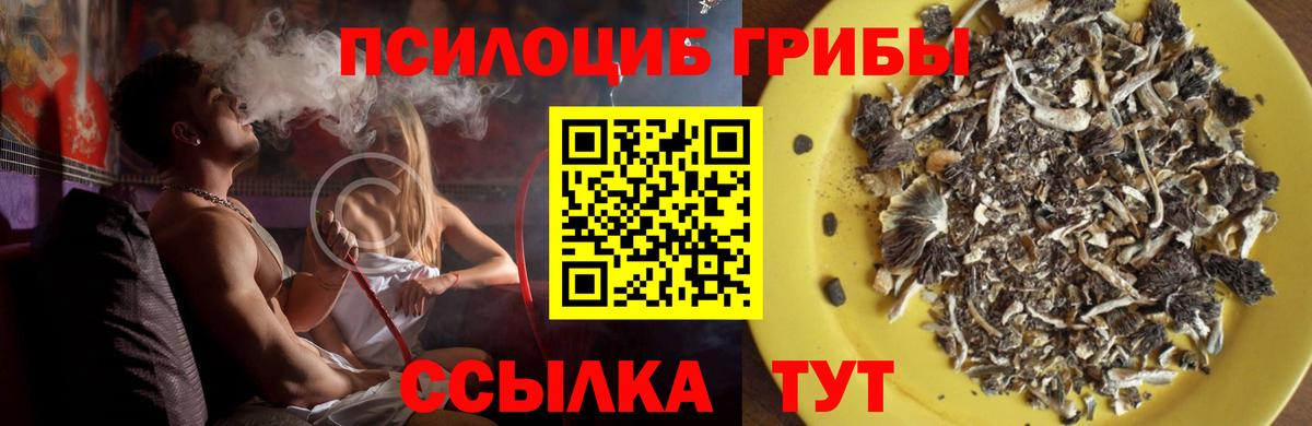 Псилоцибиновые грибы мухоморы Спасск-Дальний