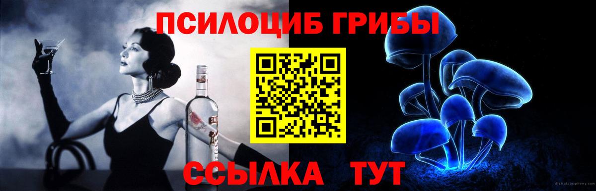 Спасск-Дальний  Псилоцибиновые грибы GOLDEN TEACHER  Вход с VPN 